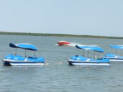 -天津东丽湖风景区