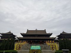 -大槐树寻根祭祖园