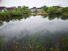 -长兴太湖图影湿地文化园