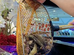 -苏格里岛自助烤肉海鲜火锅(成都金牛万达店)