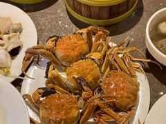 -新偶像健康汇•水疗SPA•豪华自助餐(世界城店)