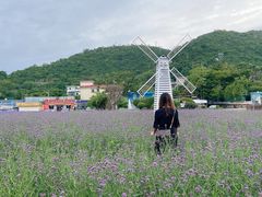 -玫瑰海岸文化旅游度假区