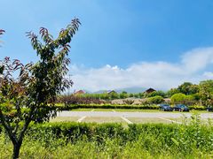 -古崖居风景名胜区