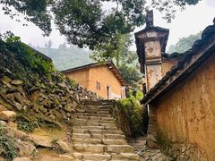 -杨家堂村
