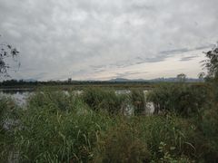 -绿堤公园