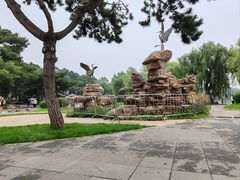 -长春市南湖公园