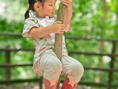 -铁山坪森林公园