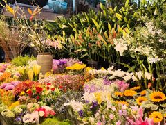 -朝来春花卉市场