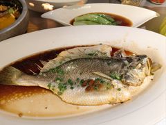 -维园悦谱·海派家常菜(乌鲁木齐南路店)