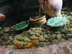 -意枫墅(总部基地店)