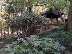 -秋霞圃