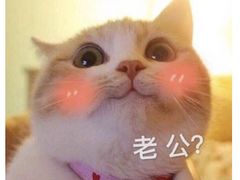 -BON CAKE(华贸购物中心店)