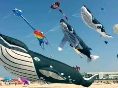 -龙口南山旅游景区