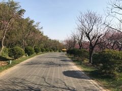 -上海海湾国家森林公园