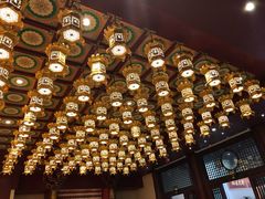 -新加坡佛牙寺龙华院