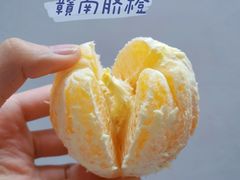 -百果园(深圳南山市场店)