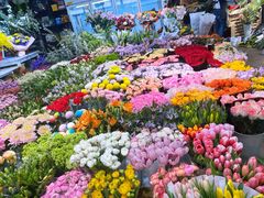-双季花艺园艺市场(浦东店)
