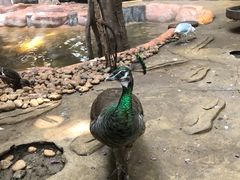 -长鹿旅游休博园