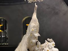 -滇野云南野生菌餐厅