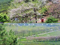 -凤凰沟景区