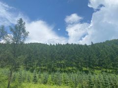 -塞罕坝国家级自然保护区