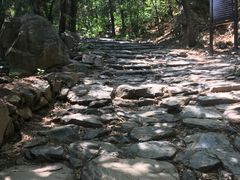 -阳台山自然风景区