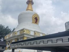 -护国法轮寺