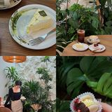 东莞新店 | 真的第一次吃到觉得好吃的马卡龙…