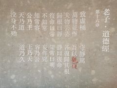 -上海观复博物馆