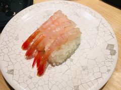 -大起水产回转寿司(道顿堀店)