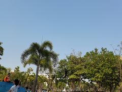 -宝安西湾红树林湿地公园