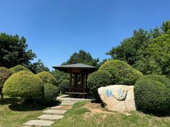 -莫子山公园