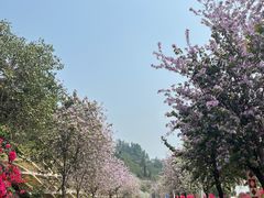 -小南山公园