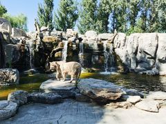 -北京野生动物园