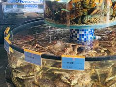 水产区-寻味顺德·珍之宝酒楼(银钻店)