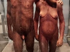 -美国自然历史博物馆