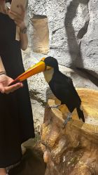 -Zoolung Zoolung动物主题公园(海信广场店)