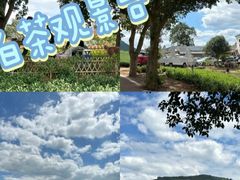 -阿露佳·舌尖上的安吉菜