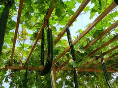 -中国天府农业博览园