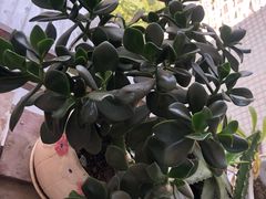 -一品天下(地铁站)