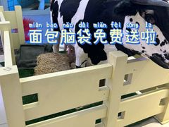 -红星前进面包牛奶公司(君太店)