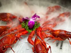-京悦南门涮羊肉·羊蝎子火锅(田林路店)