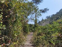 -鼓岭旅游度假区