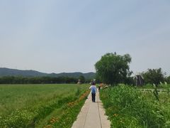 -长兴太湖图影湿地文化园