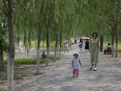 -西青郊野公园