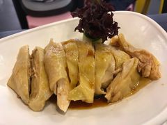 -Asianplus海蓝鸡饭