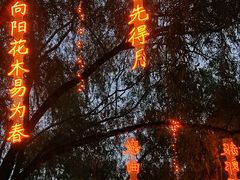 -万泉公园