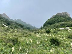 -白草畔自然风景区