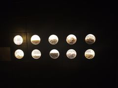 -Rx·方子·新中餐小酒馆