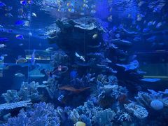 -左海海底世界